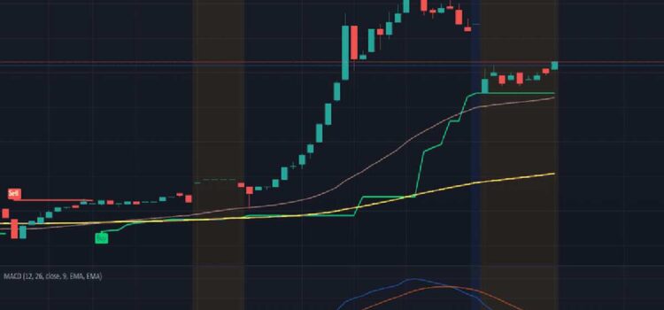 Mmat Stock