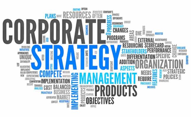 Payroll Strategies for S Corporations: Balancing Compliance and Efficiency 
